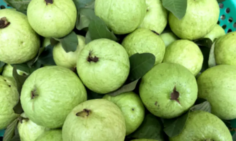 10 Thực Phẩm Giàu Vitamin C Hỗ Trợ Miễn Dịch Và Sức Khỏe Da