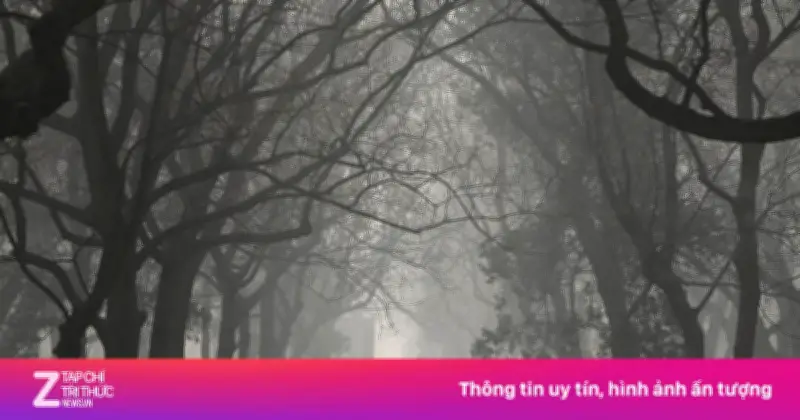 125 Triệu Người 'Vô Hình' Ở Trung Quốc: Cuộc Sống Đơn Thân Giữa Xã Hội Hiện Đại