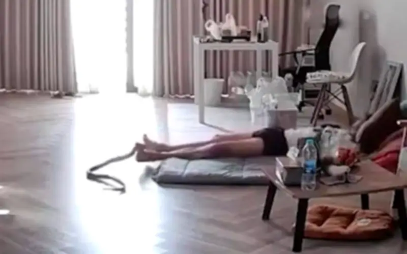 Rắn Chuột 1,5 Mét Tấn Công Người Đàn Ông Đang Ngủ Trưa Ở Thái Lan