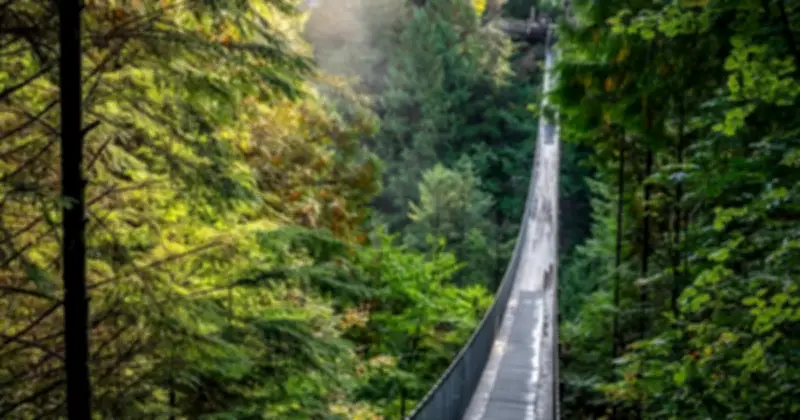 19 Cây Cầu Đẹp Nhất Thế Giới: Từ Cầu Vàng Việt Nam Đến Cầu Brooklyn Mỹ