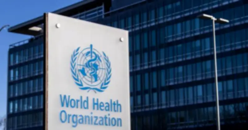 Nghiên cứu 2026 cảnh báo: Chất bảo quản trong thực phẩm chế biến làm tăng nguy cơ ung thư