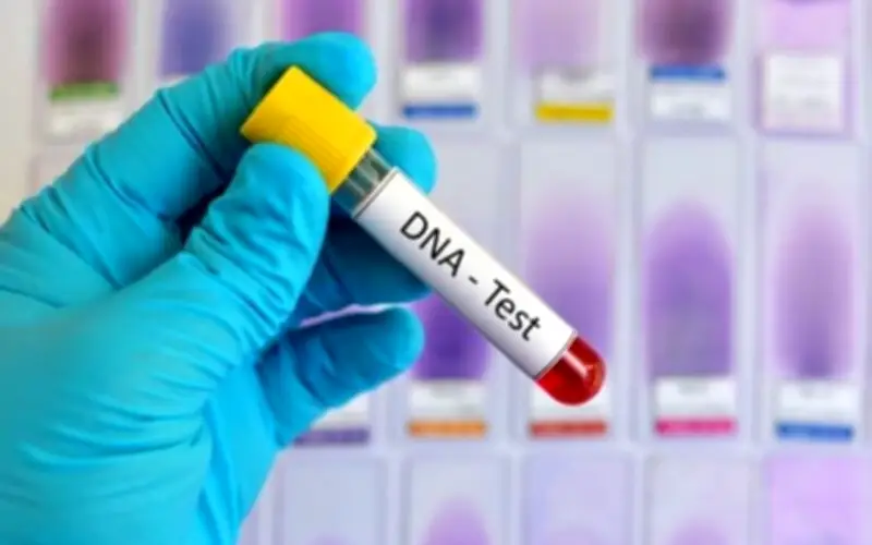 3 năm nuôi đứa trẻ bị bỏ rơi, tôi chết lặng khi ADN cho kết quả không thể ngờ tới