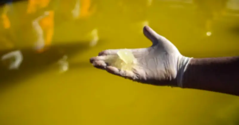 Phát Minh Hộp Lọc 3D Mở Ra Kỷ Nguyên Thu Hồi Lithium, Coban Từ Rác Thải Tại Mỹ