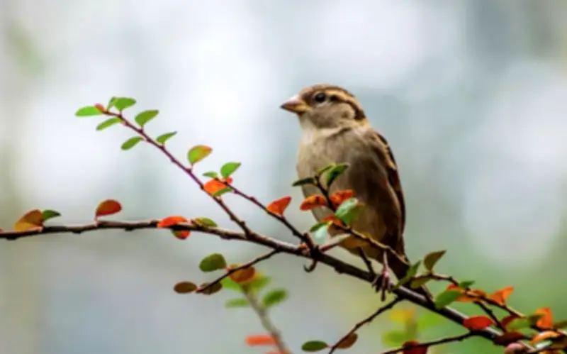 4 Khung Giờ Sinh Âm Lịch Mang Phúc Khí, Tuổi Già Dư Dả Thông Dong