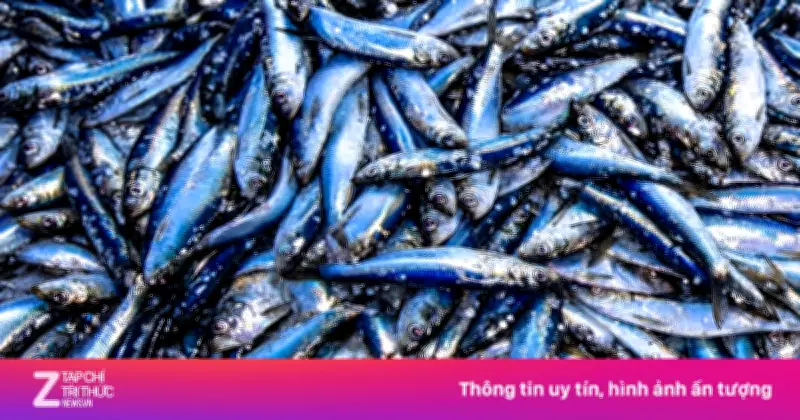 4 Loại Cá Giàu Omega-3: Lựa Chọn Bổ Dưỡng, Giá Cả Phải Chăng Cho Bữa Ăn Hàng Ngày