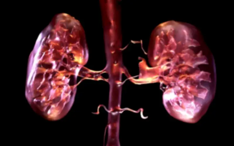 4 Nguyên Nhân Làm Tăng Nguy Cơ Suy Thận Trong Mùa Lạnh Người Việt Cần Biết