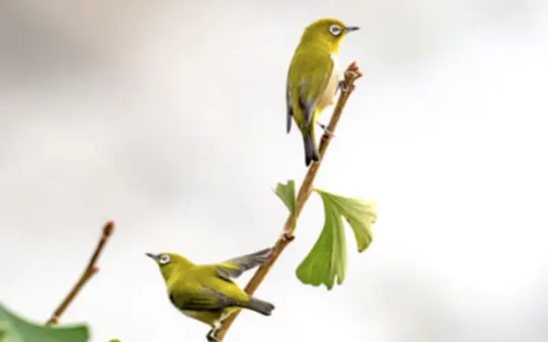 4 Tháng Sinh Âm Lịch Của Người Mang Số Phát Đạt, Hậu Vận An Nhàn, Con Cháu Hiếu Thuận