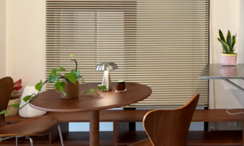 5 Loại Cây Giúp Hút Ẩm, Giảm Mùi Trong Nhà Mùa Nồm Miền Bắc