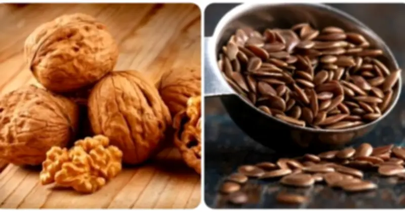 5 Nguồn Omega-3 Thực Vật Tốt Cho Tim Mạch, Giảm Cholesterol Hiệu Quả