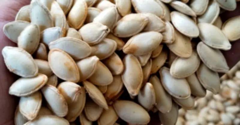 5 Nhóm Người Cần Tránh Xa Hạt Bí: Cảnh Báo Từ Chuyên Gia Dinh Dưỡng