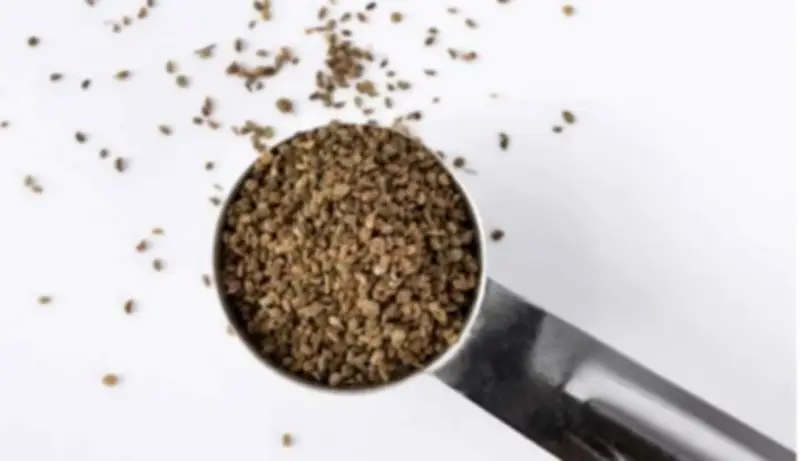 6 Lợi Ích Bất Ngờ Của Hạt Cần Tây Cho Sức Khỏe Mà Bạn Chưa Biết