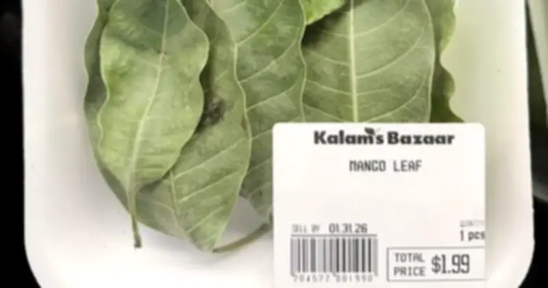 7 Lá Xoài Giá 52.000 Đồng Ở Mỹ: Từ Thứ Bỏ Đi Thành Hàng Hóa Đắt Giá