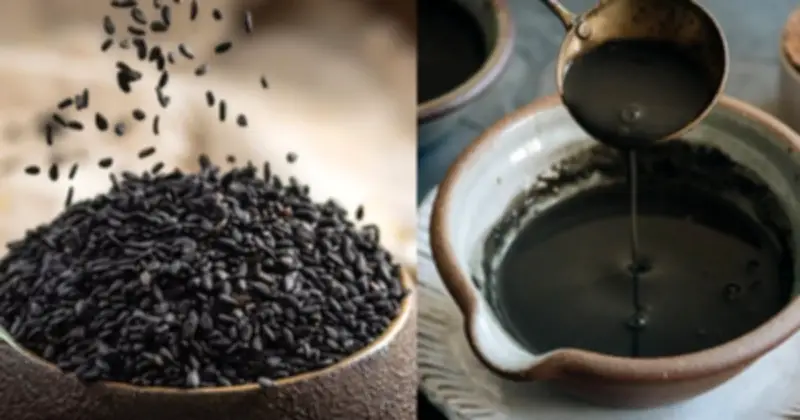 7 Loại Thực Phẩm Giúp Tóc Đen Bóng, Ngừa Rụng Cho Người Trung Niên Và Cao Tuổi