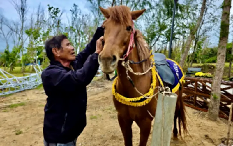Ông lão 76 tuổi và hành trình gần 50 năm gắn bó với 'Tết của vó ngựa'