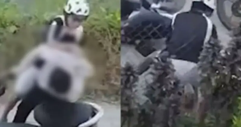 Nam sinh lớp 9 bị hành hung dã man sau va quẹt giao thông nhẹ ở Tây Ninh