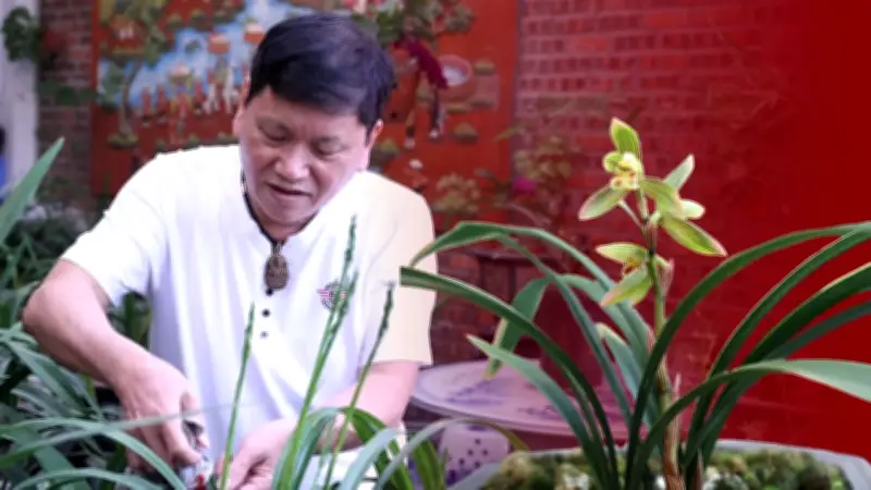 Địa Lan Tết: Cuộc Đánh Cược Thầm Lặng Với Thiên Nhiên Của Người Trồng Hoa