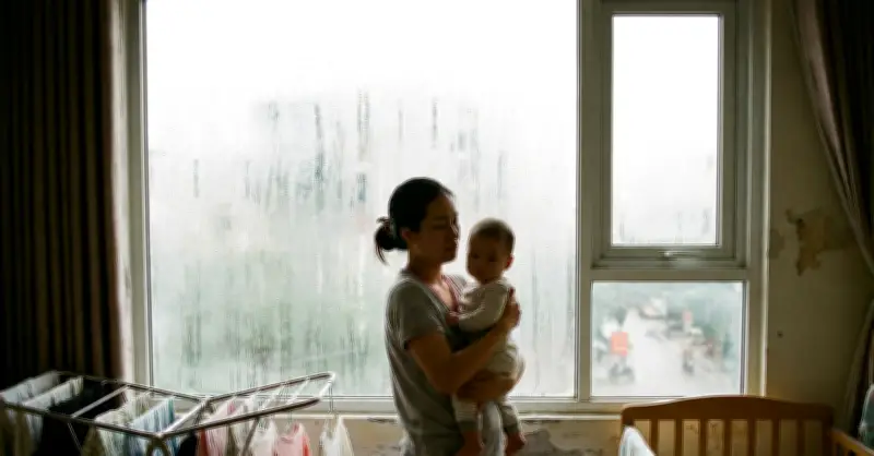 Máy hút ẩm giá bình dân: Giải pháp hiệu quả cho mùa nồm ẩm miền Bắc