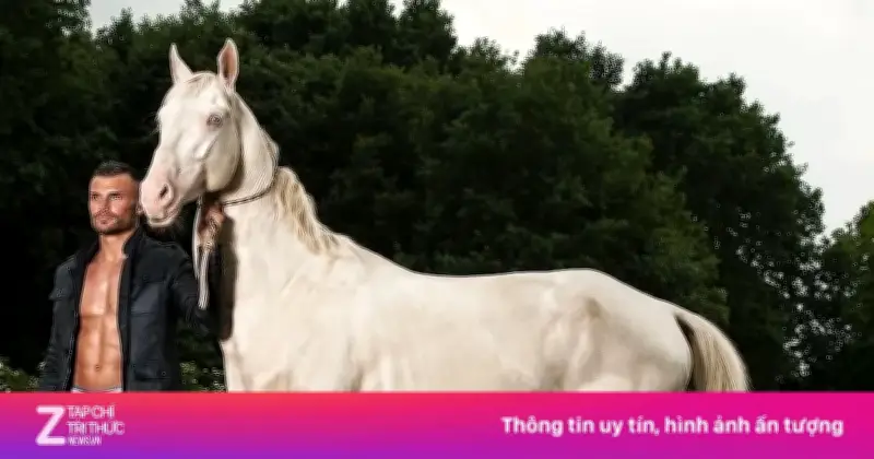 Akhal-Teke: Giống Ngựa 'Dát Vàng' Quý Hiếm, Biểu Tượng Xa Xỉ Của Giới Siêu Giàu