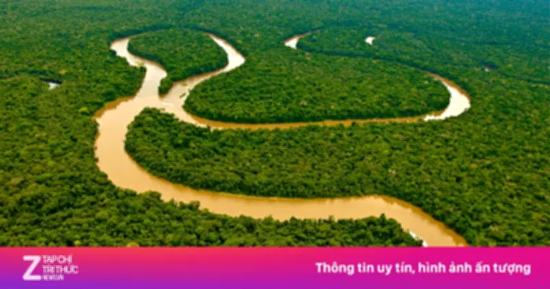 Sông Amazon: Bí ẩn của dòng sông không có cầu bắc qua