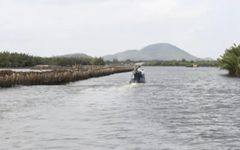 An Giang Cưỡng Chế Bao Chiếm Đầm Đông Hồ, Buộc Khôi Phục Đất Và Nộp Tiền Lợi Bất Hợp Pháp