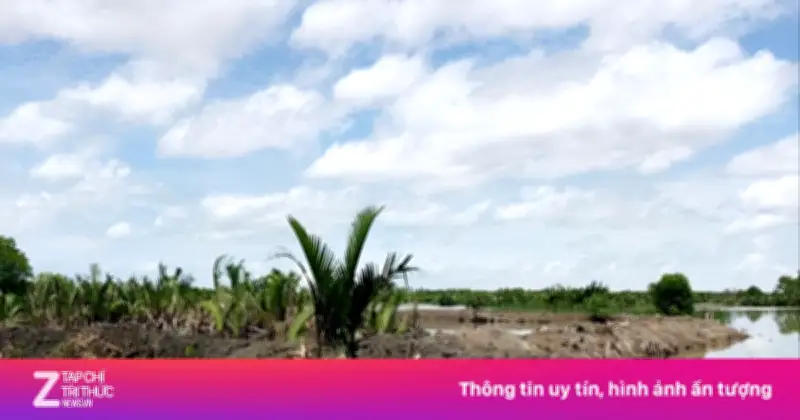 An Giang Cưỡng Chế Hai Cá Nhân Chiếm Gần 29 Ha Đất Công Tại Đầm Đông Hồ