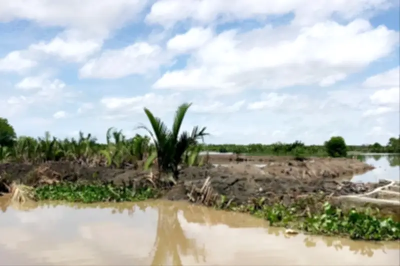 An Giang Cưỡng Chế Thu Hồi Hàng Trăm Ngàn Mét Vuông Đất Công Bị Lấn Chiếm Trái Phép