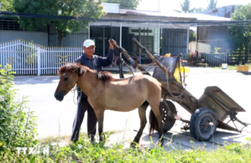 An Giang: Khám Phá Thủ Phủ Xe Ngựa Vàng Bóng Một Thời Ở Vùng Thất Sơn