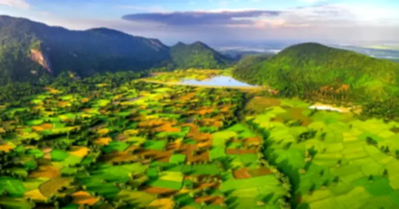 An Giang đón hơn 1,7 triệu lượt khách dịp Tết 2026, doanh thu du lịch tăng mạnh