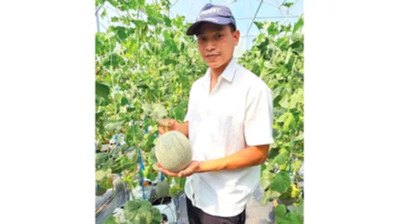 An Giang rộn ràng mùa thu hoạch thủy sản và nông sản cao cấp dịp cuối năm