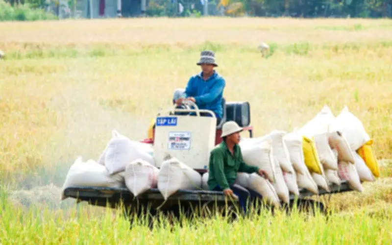 An Giang triển khai nhiều giải pháp chủ động phòng chống hạn mặn bảo vệ mùa màng