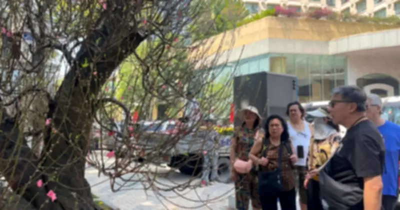 Đào cổ thụ trăm triệu đồng hút khách tại chợ hoa Tết TPHCM