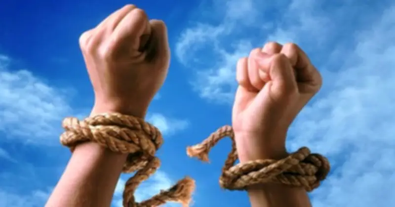 Artex Chính Thoát Khỏi Diện Kiểm Soát, Lộ Trình Phục Hồi 2026-2028 Được Công Bố