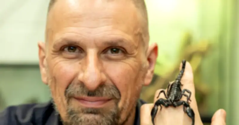 Bọ cạp gây tử vong hàng nghìn trẻ em mỗi năm, nghiên cứu mới tìm ra yếu tố chỉ báo môi trường sống