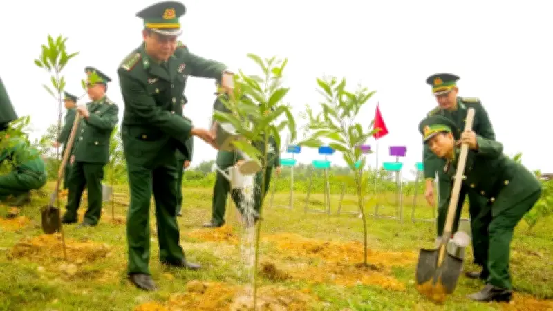 Bộ đội Biên phòng Quảng Trị trồng 850 nghìn cây xanh, góp phần phủ xanh biên giới