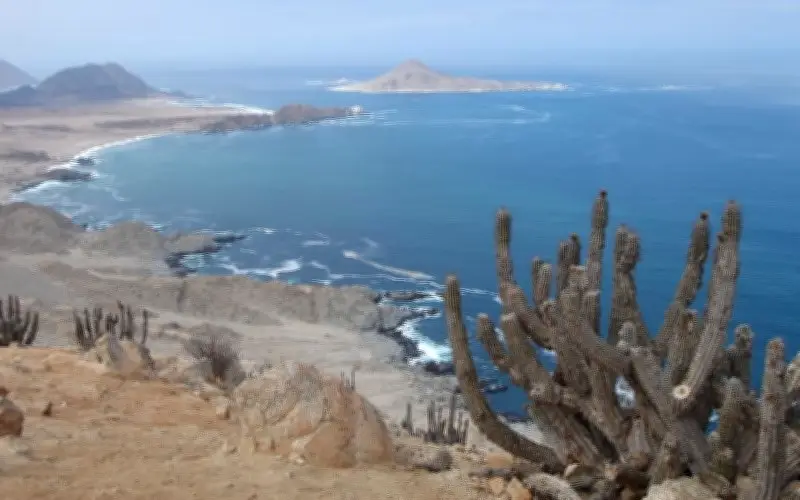 Bí Ẩn Các Sa Mạc Ven Biển: Tại Sao Chúng Khô Hạn Dù Gần Đại Dương?