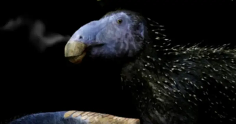 Bí ẩn lớp giáp gai rỗng của khủng long 125 triệu năm làm đảo lộn cổ sinh vật học