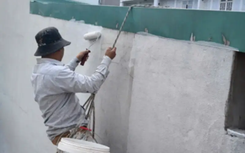 Bà Én trồng hoa Tết và những câu chuyện mưu sinh cuối năm 2026