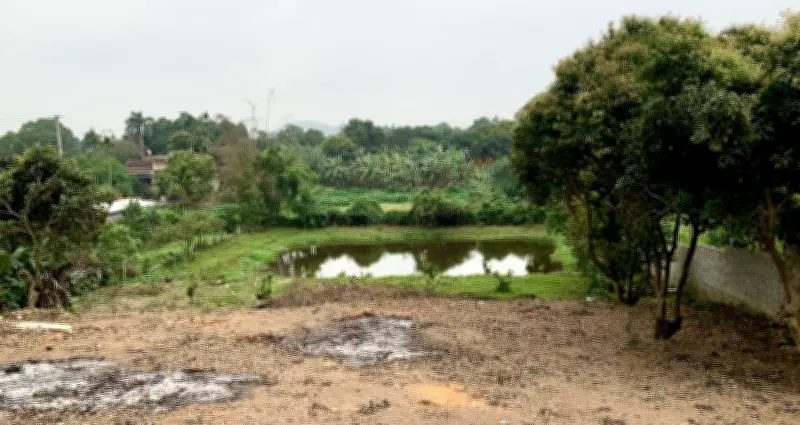 Bộ Nội vụ làm rõ cách tính 30% tiền sử dụng đất khi chuyển đất vườn lên thổ cư