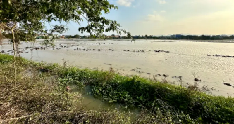 Bộ Nội vụ nêu rõ: Tách thửa đất phải đảm bảo có lối đi riêng