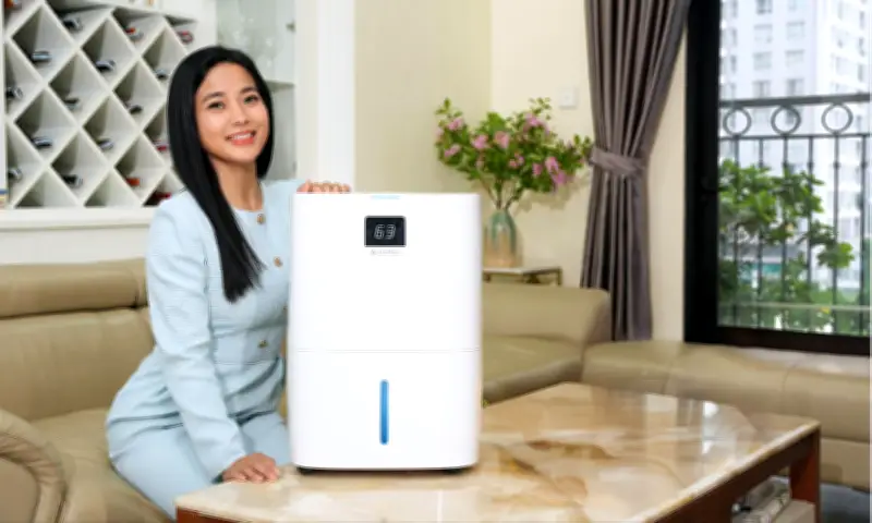 Bí quyết chọn máy hút ẩm hiệu quả cho mùa nồm ẩm tại miền Bắc