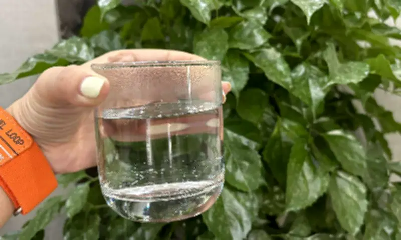 Bí quyết khởi động ngày mới tràn đầy năng lượng sau Tết