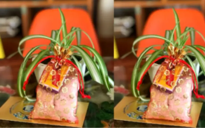 Bí Quyết Thu Hút Tài Lộc Đầu Năm 2026: Hành Động Đơn Giản Cho May Mắn Và Thịnh Vượng