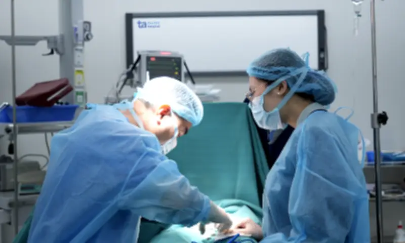 Bé trai phẫu thuật chỉnh lỗ tiểu lệch thấp, bác sĩ cảnh báo dấu hiệu cần khám sớm