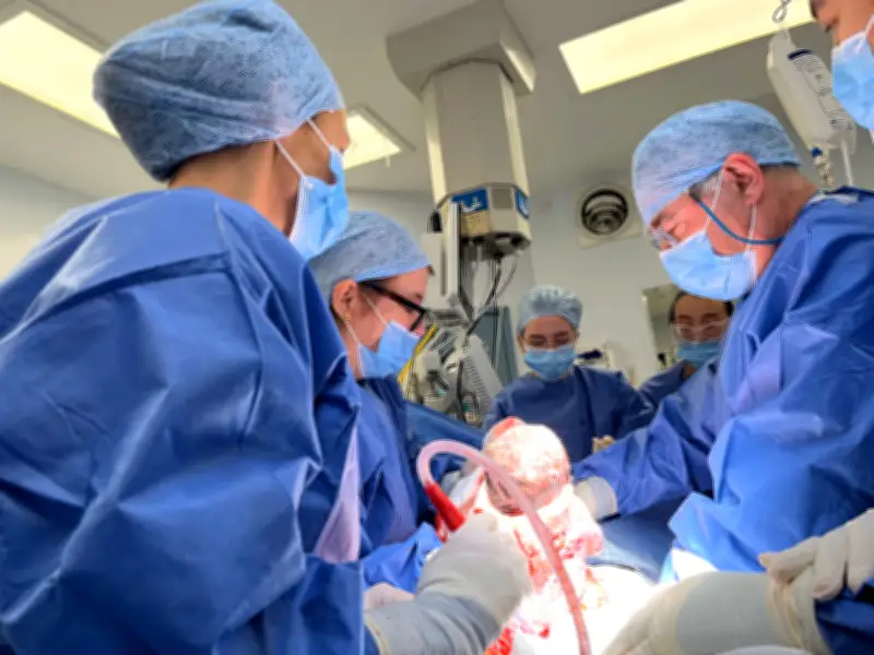 Bé trai đầu tiên tại Anh chào đời từ tử cung cấy ghép của người hiến đã mất