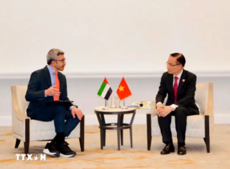 Bộ trưởng Ngoại giao Lê Hoài Trung hội đàm với các đồng nhiệm UAE, Ai Cập và Thổ Nhĩ Kỳ