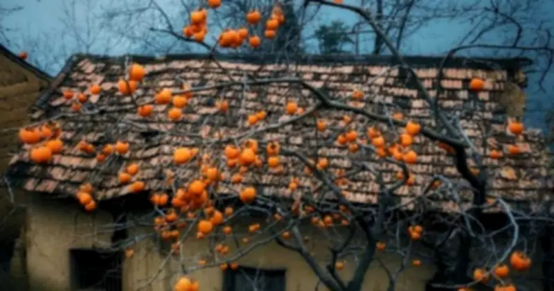 Ba 'Người Bạn Xanh' Hồng, Thiết Mộc Lan, Kim Ngân Hoa: Lan Tỏa Năng Lượng Tích Cực Và Chăm Sóc Sức Khỏe