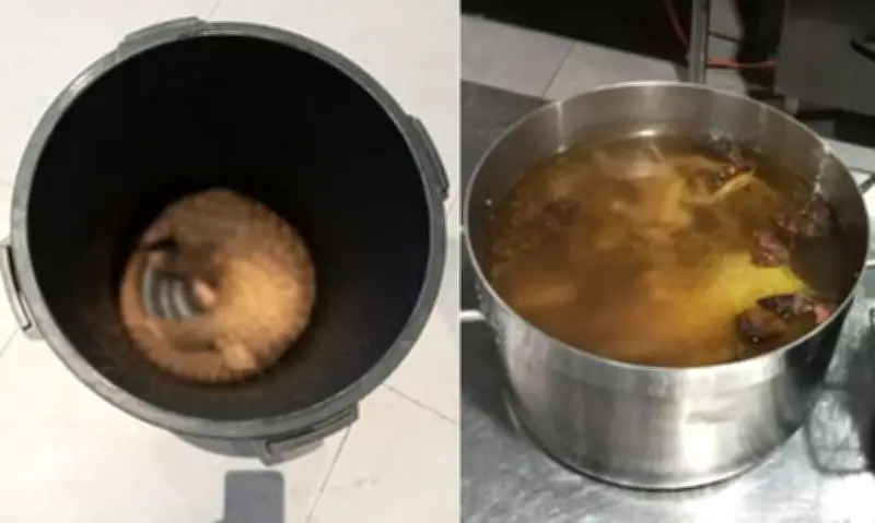 Ba Người Malaysia Đối Mặt Án Tù Vì Nấu Tê Tê Phục Vụ Du Khách Tại Sabah