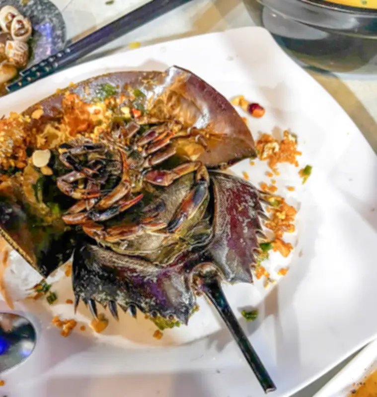 Ba Thanh Niên Ngộ Độc Sam Sau Bữa Ăn Tối Tại Quán Ốc Ở Cà Mau