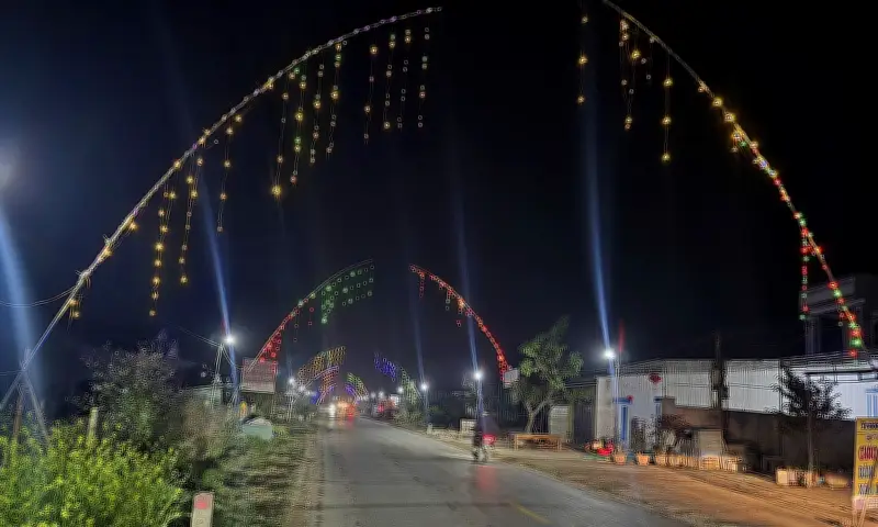 Ba thanh niên Nghệ An nguy kịch vì phóng điện khi dựng cây nêu đón Tết