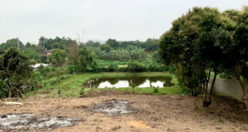 Ba thay đổi lớn về đất đai xây dựng sẽ chính thức có hiệu lực từ năm 2026